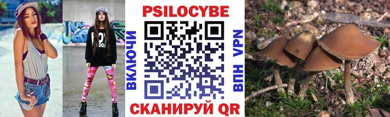 как найти   Нарткала  Псилоцибиновые грибы Magic Shrooms 